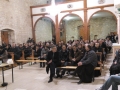IMG_20150327_190241 (Medium)