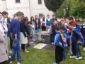20150424_110454 (Medium)