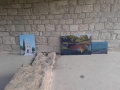 20150425_180252 (Medium)