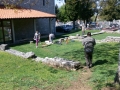 IMG_20150425_104320 (Medium)