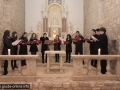 MG_7718_resize